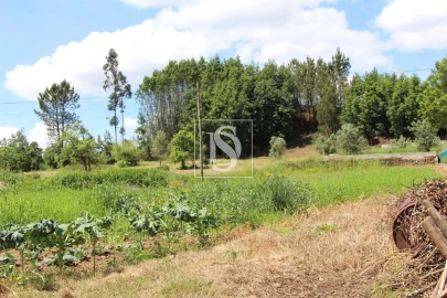 Terreno para Venda em Mortágua, Vale de Remígio, Cortegaça e Almaça