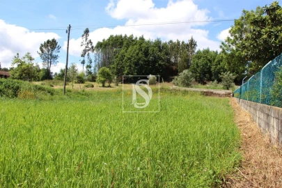 Terreno para Venda em Mortágua, Vale de Remígio, Cortegaça e Almaça