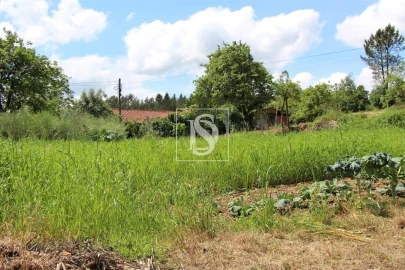 Terreno para Venda em Mortágua, Vale de Remígio, Cortegaça e Almaça