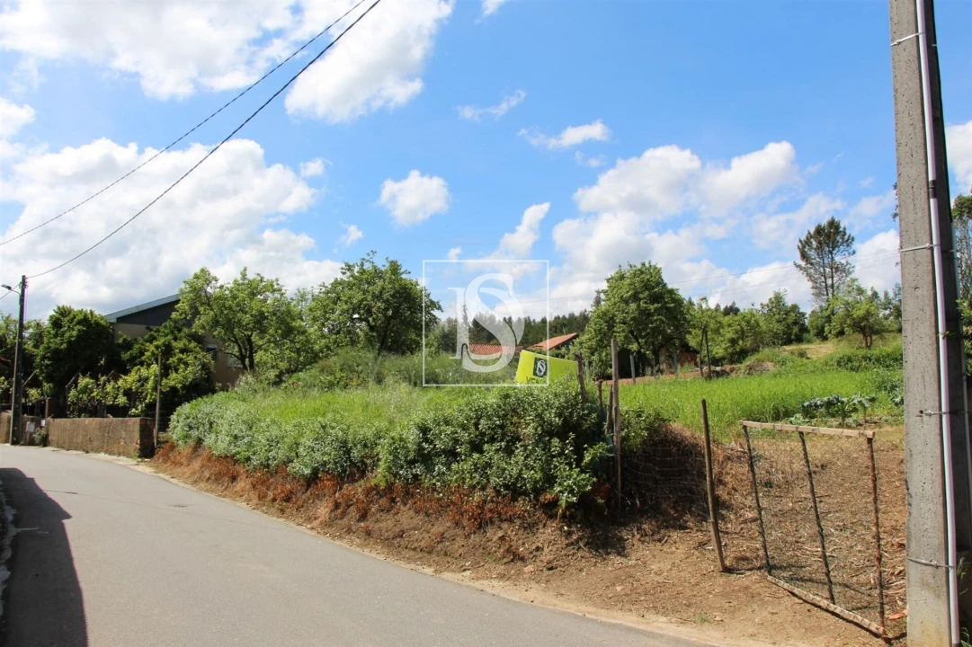Terreno para Venda em Mortágua, Vale de Remígio, Cortegaça e Almaça Foto 7