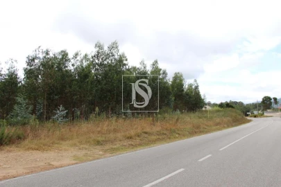 Terreno para Venda em Campo de Besteiros