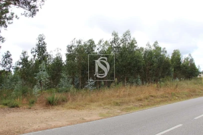 Terreno para Venda em Campo de Besteiros