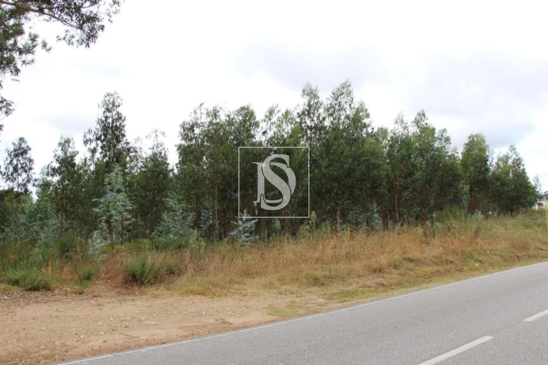 Terreno para Venda em Campo de Besteiros Foto 3