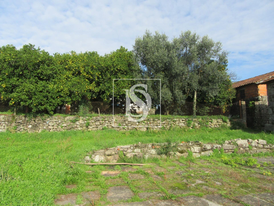 Quinta T0 para Venda em Campo de Besteiros Foto 4