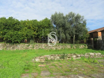 Quinta T0 para Venda em Campo de Besteiros