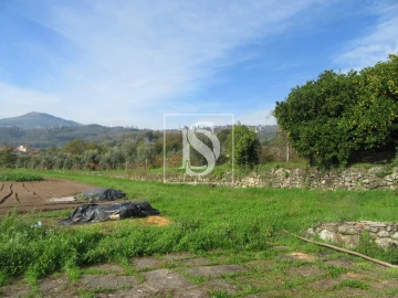 Quinta T0 para Venda em Campo de Besteiros