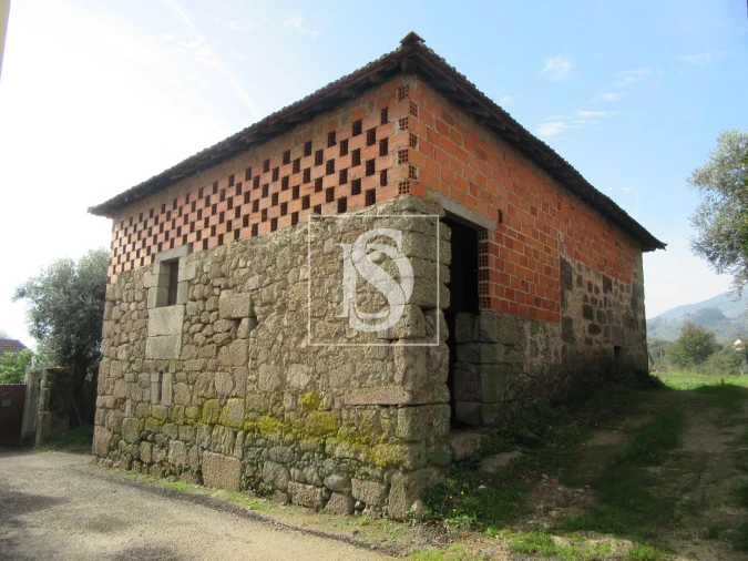 Quinta T0 para Venda em Campo de Besteiros Foto 2