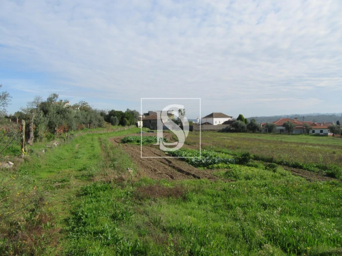 Quinta T0 para Venda em Campo de Besteiros Foto 9