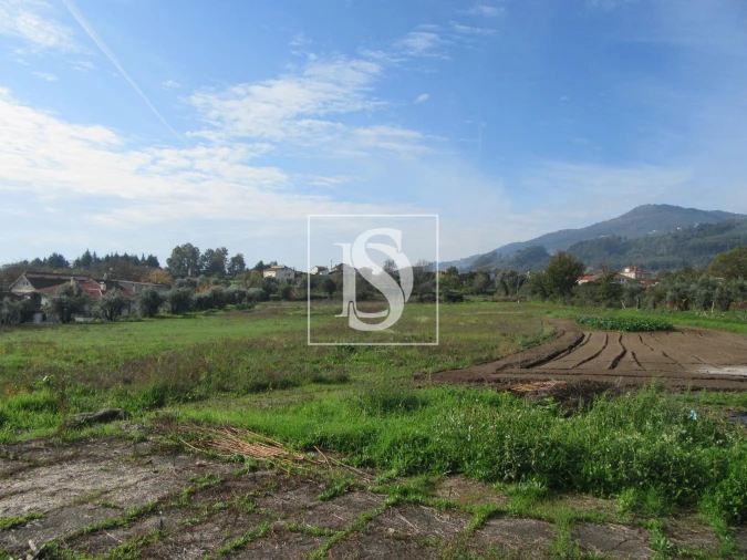 Quinta T0 para Venda em Campo de Besteiros Foto 5