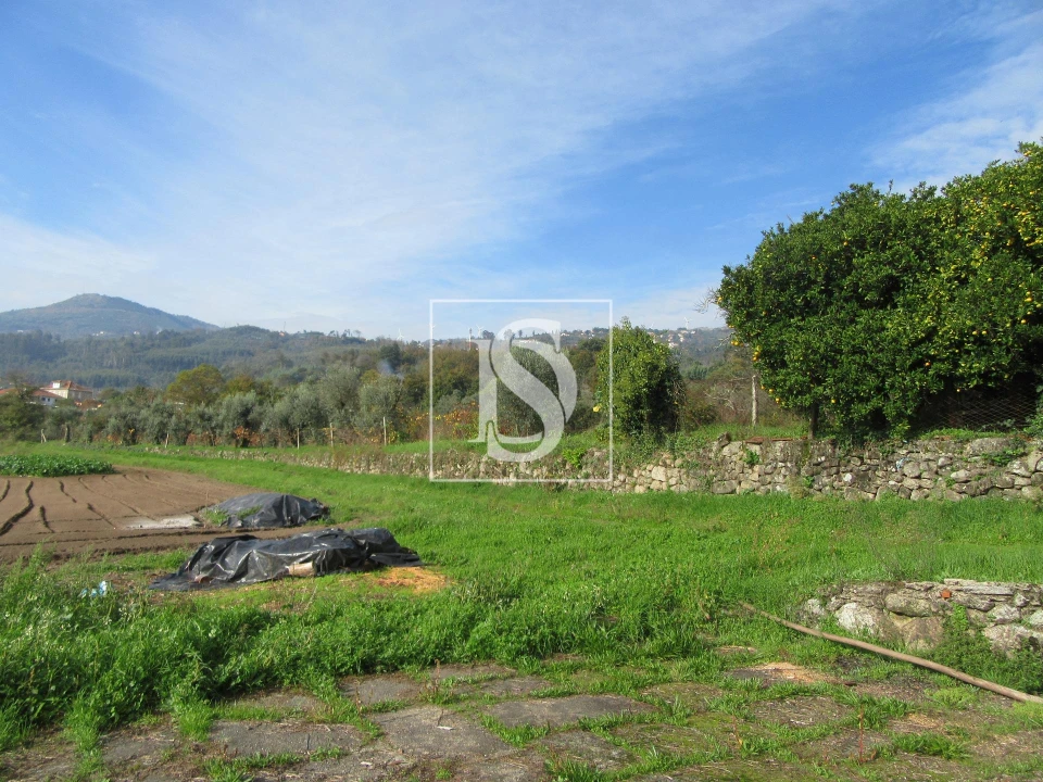 Quinta T0 para Venda em Campo de Besteiros Foto 6