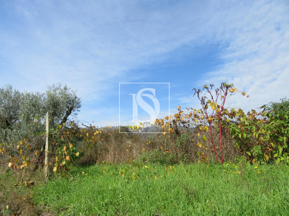 Quinta T0 para Venda em Campo de Besteiros Foto 7