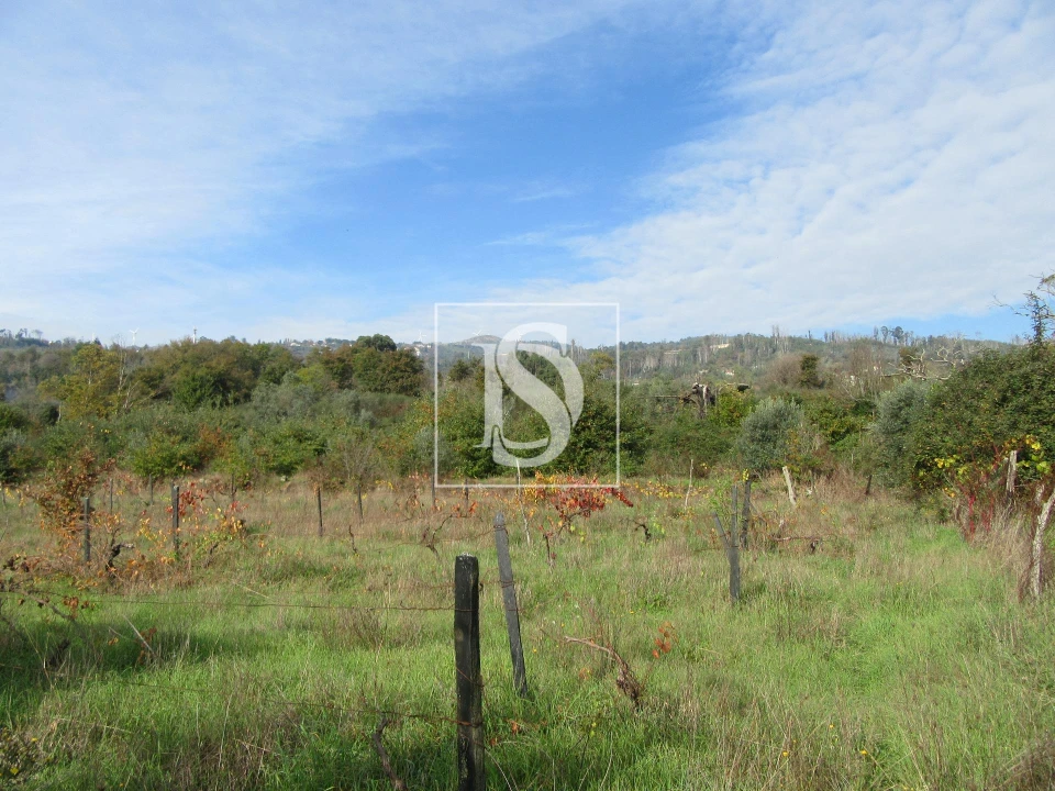 Quinta T0 para Venda em Campo de Besteiros Foto 8