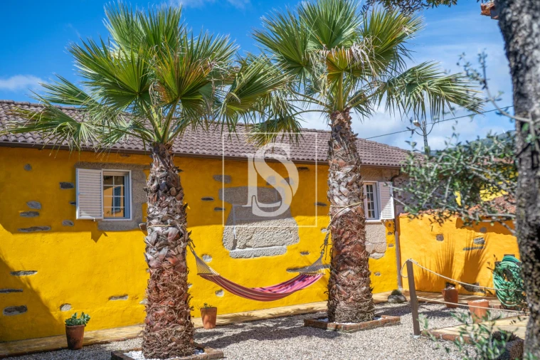 Quinta T8 para Venda em Castelões Foto 4