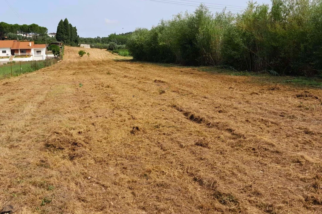 Terreno para Venda em Mealhada, Ventosa do Bairro e Antes Foto 5