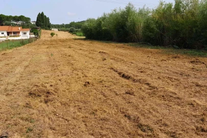 Terreno para Venda em Mealhada, Ventosa do Bairro e Antes