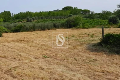 Terreno para Venda em Mealhada, Ventosa do Bairro e Antes