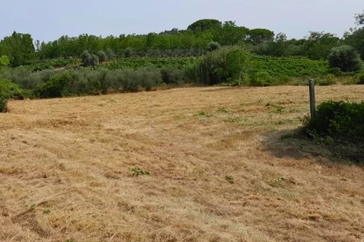 Terreno para Venda em Mealhada, Ventosa do Bairro e Antes