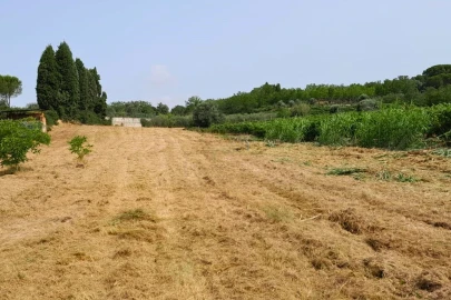 Terreno para Venda em Mealhada, Ventosa do Bairro e Antes