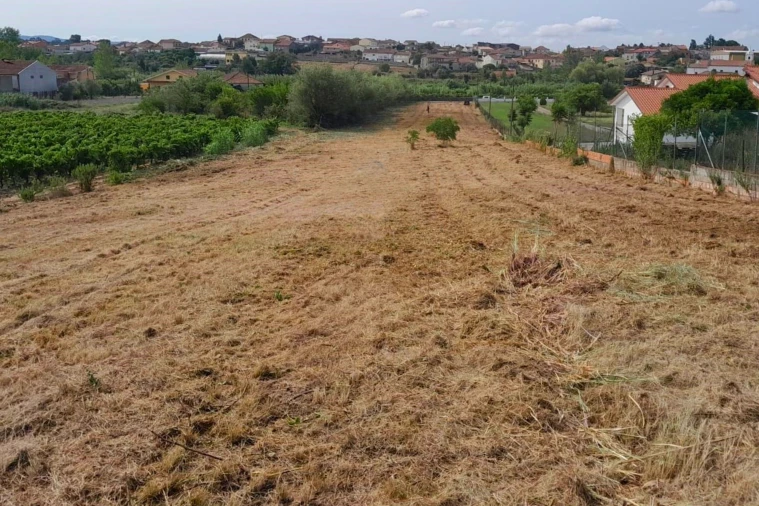Terreno para Venda em Mealhada, Ventosa do Bairro e Antes Foto 4