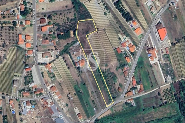 Terreno para Venda em Mealhada, Ventosa do Bairro e Antes Foto 5