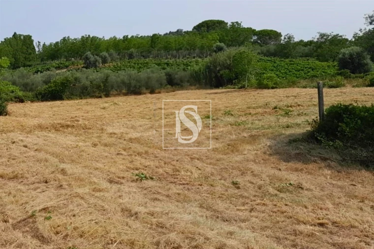 Terreno para Venda em Mealhada, Ventosa do Bairro e Antes Foto 3