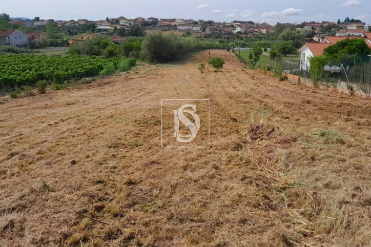 Terreno para Venda em Mealhada, Ventosa do Bairro e Antes Foto 2