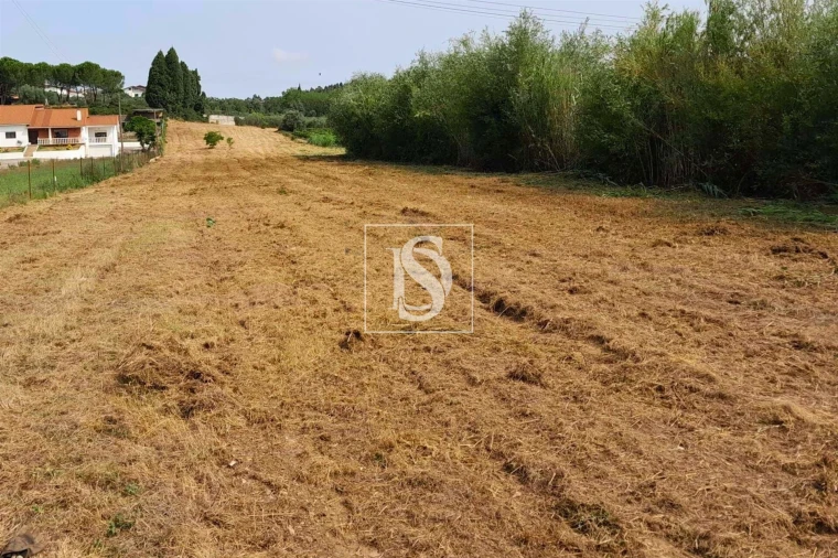 Terreno para Venda em Mealhada, Ventosa do Bairro e Antes