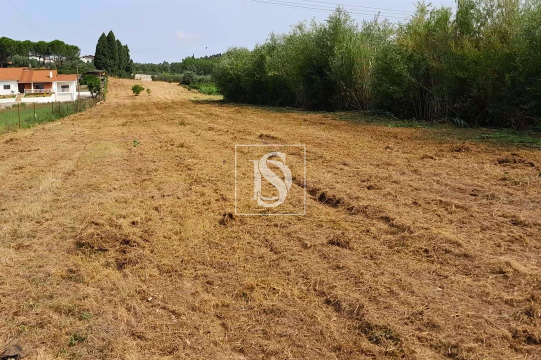 Terreno para Venda em Mealhada, Ventosa do Bairro e Antes Foto 1