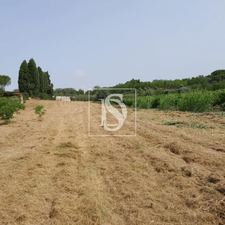 Terreno para Venda em Mealhada, Ventosa do Bairro e Antes Foto 4