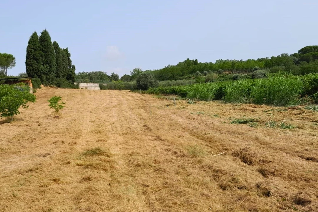 Terreno para Venda em Mealhada, Ventosa do Bairro e Antes Foto 1