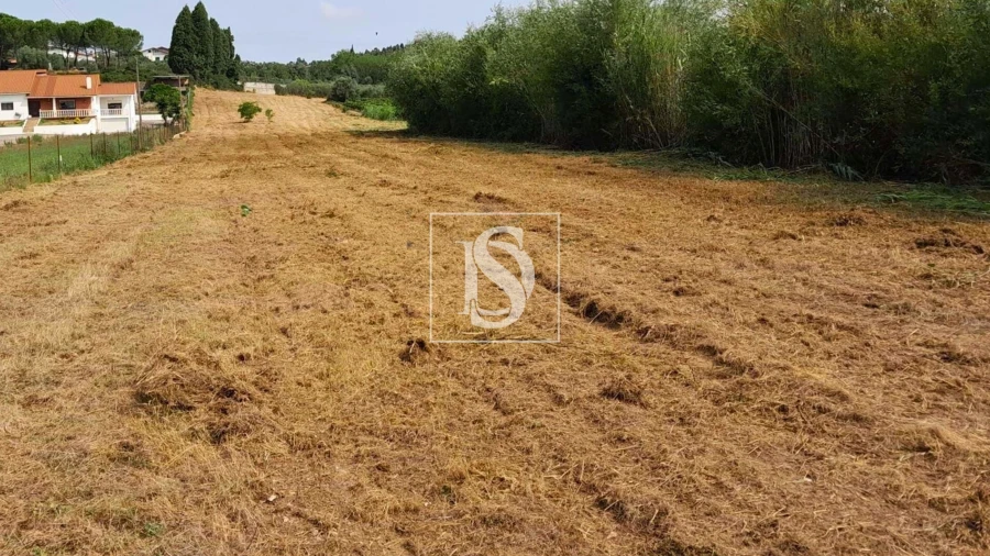 Terreno para Venda em Mealhada, Ventosa do Bairro e Antes