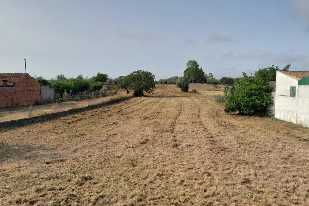 Terreno para Venda em Mealhada, Ventosa do Bairro e Antes Foto 1