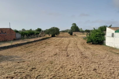 Terreno para Venda em Mealhada, Ventosa do Bairro e Antes