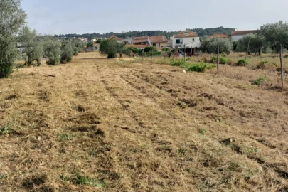 Terreno para Venda em Mealhada, Ventosa do Bairro e Antes