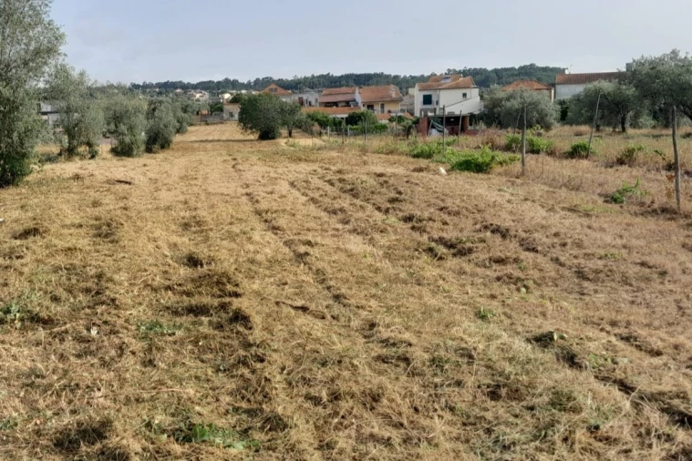 Terreno para Venda em Mealhada, Ventosa do Bairro e Antes Foto 10