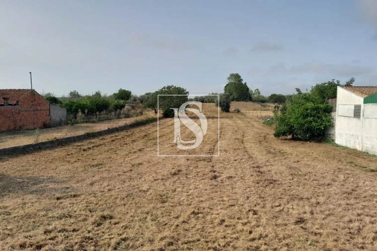 Terreno para Venda em Mealhada, Ventosa do Bairro e Antes Foto 2