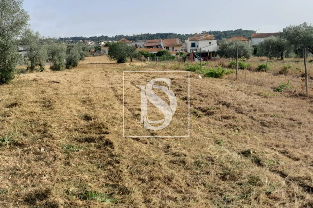 Terreno para Venda em Mealhada, Ventosa do Bairro e Antes Foto 1