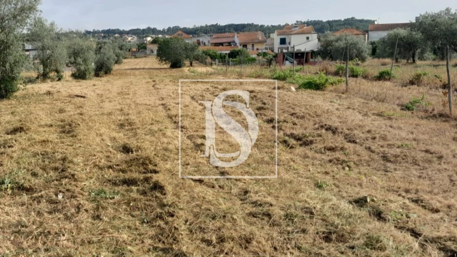 Terreno para Venda em Mealhada, Ventosa do Bairro e Antes