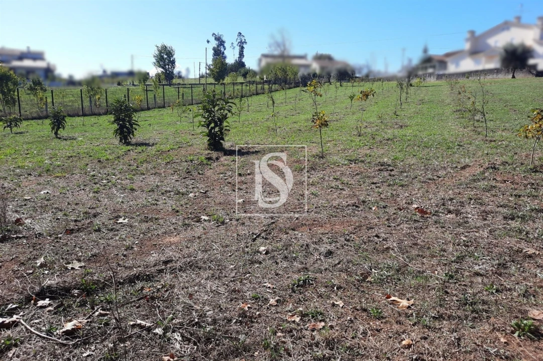 Terreno para Venda em Mortágua, Vale de Remígio, Cortegaça e Almaça Foto 4