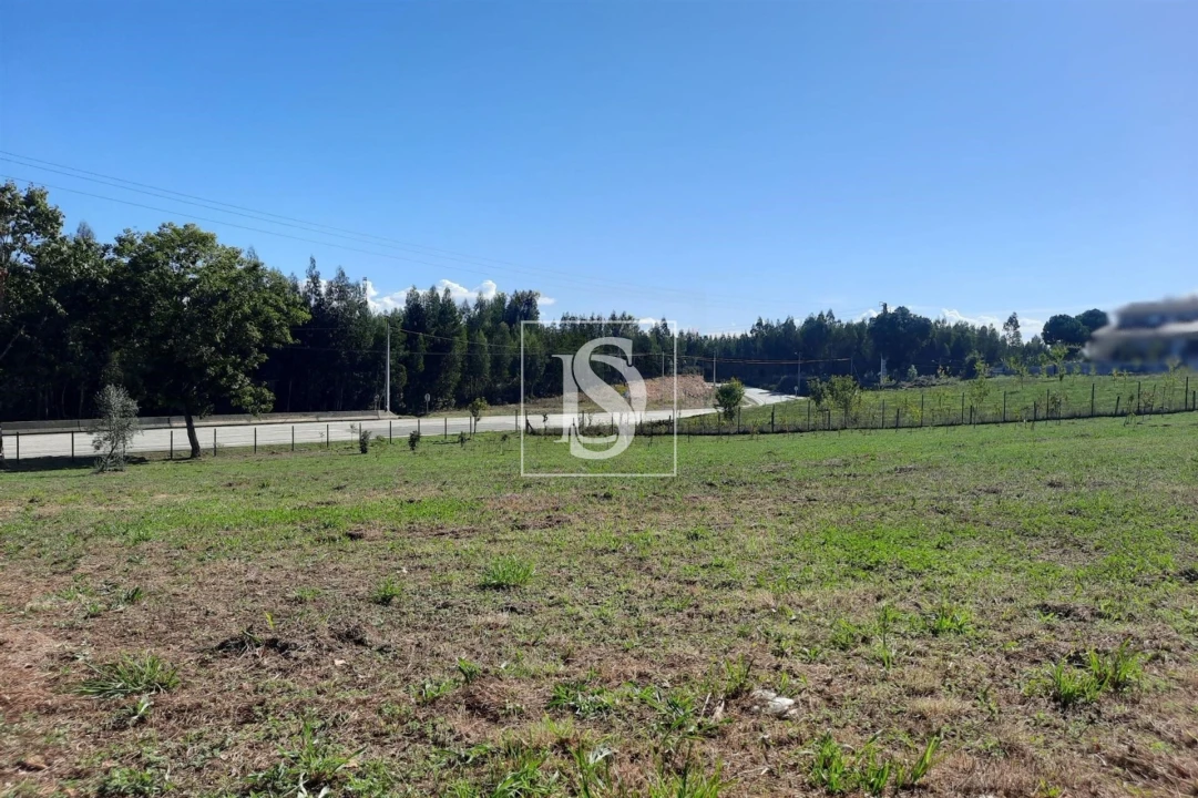 Terreno para Venda em Mortágua, Vale de Remígio, Cortegaça e Almaça Foto 2