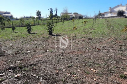 Terreno para Venda em Mortágua, Vale de Remígio, Cortegaça e Almaça
