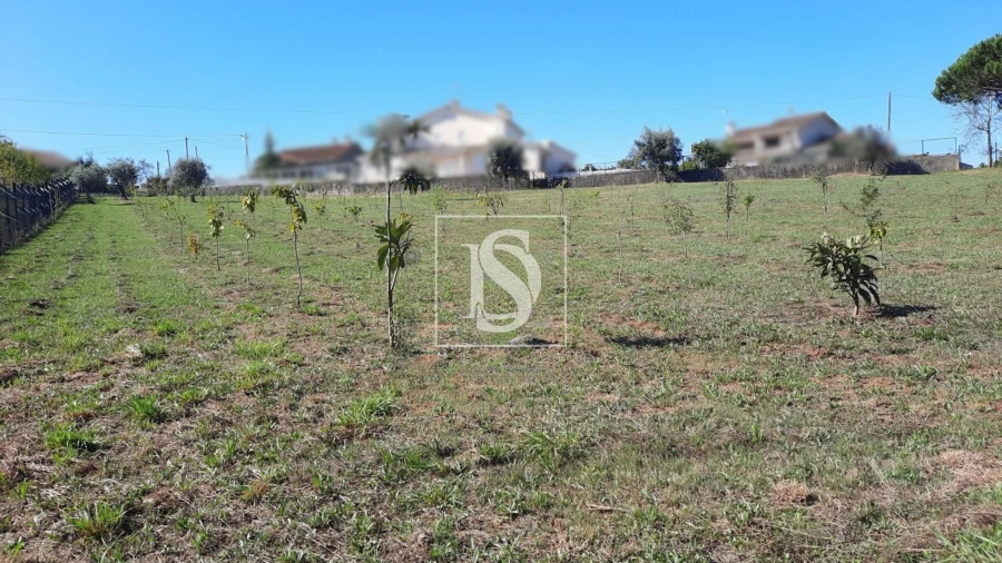 Terreno para Venda em Mortágua, Vale de Remígio, Cortegaça e Almaça