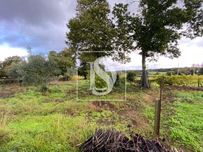 Moradia T1 para Venda em Tondela e Nandufe Foto 25