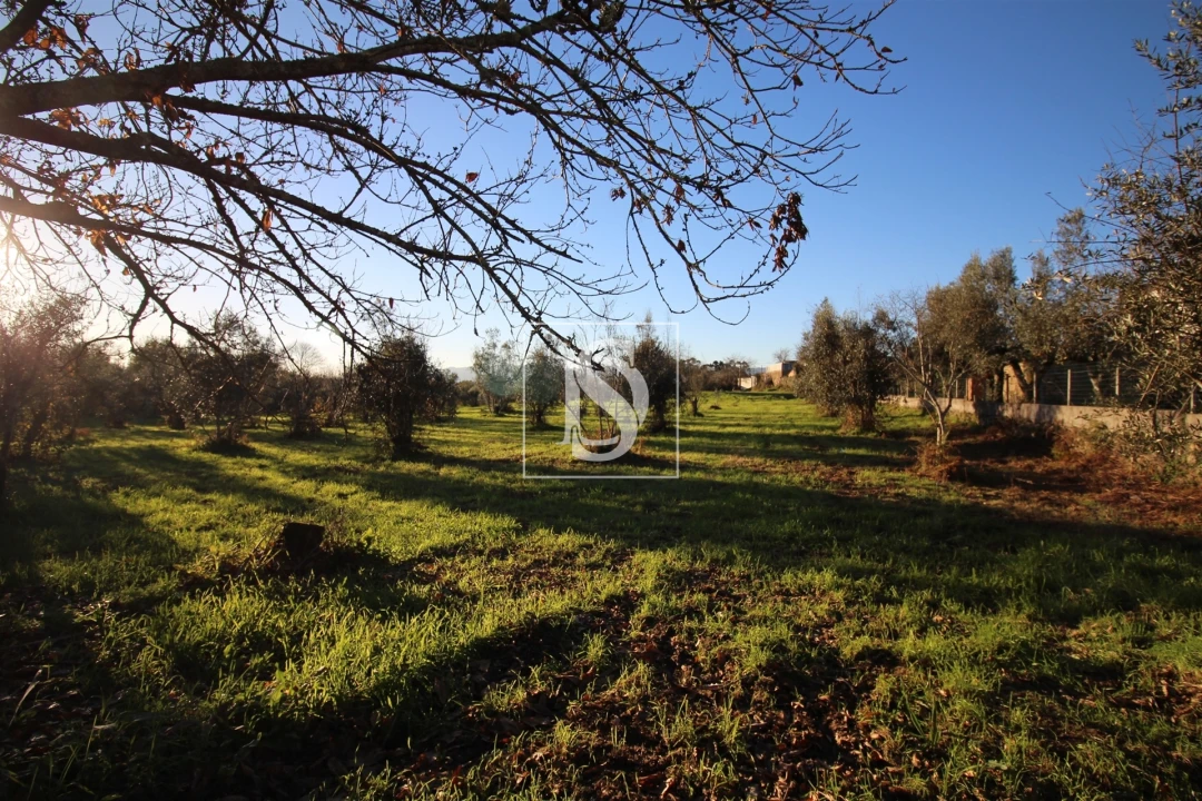 Terreno para Venda em Canas de Santa Maria Foto 6