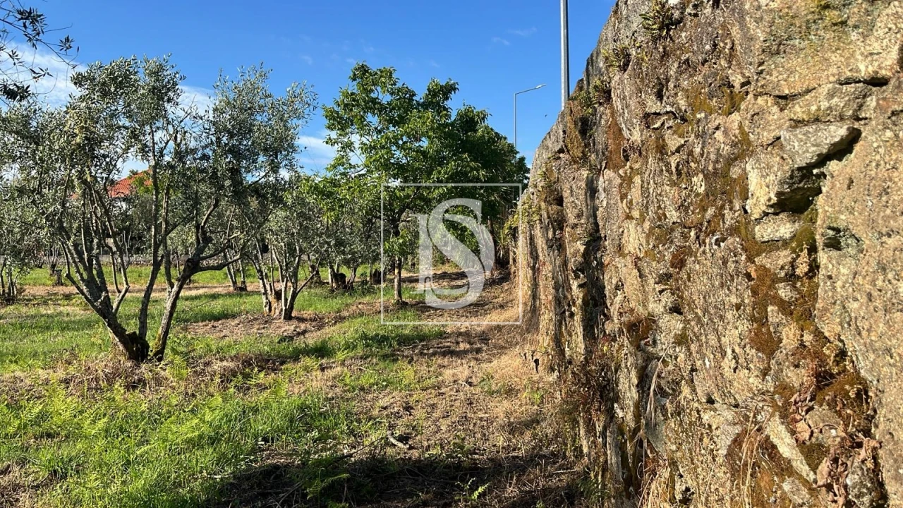Terreno para Venda em Canas de Santa Maria Foto 5