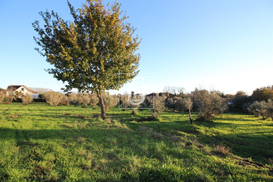 Terreno para Venda em Canas de Santa Maria Foto 24