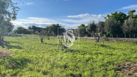 Terreno para Venda em Canas de Santa Maria