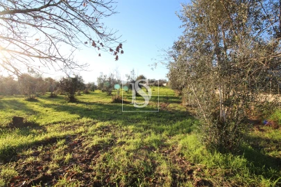 Terreno para Venda em Canas de Santa Maria