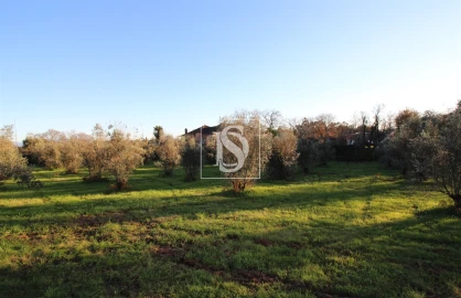 Terreno para Venda em Canas de Santa Maria