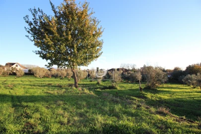 Terreno para Venda em Canas de Santa Maria